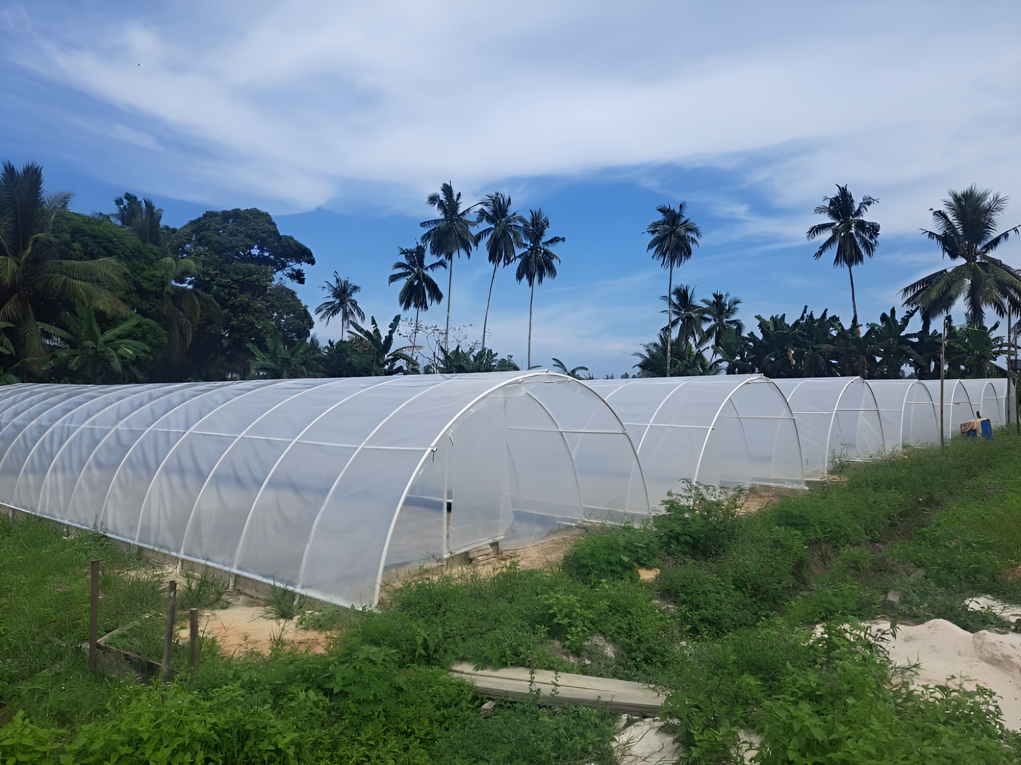 Foto: Rumah garam tunnel yang dibangun menggunakan plastik dan pipa di Desa Kersik, Kecamatan Marangkayu, Kabupaten Kutai Kartanegara.